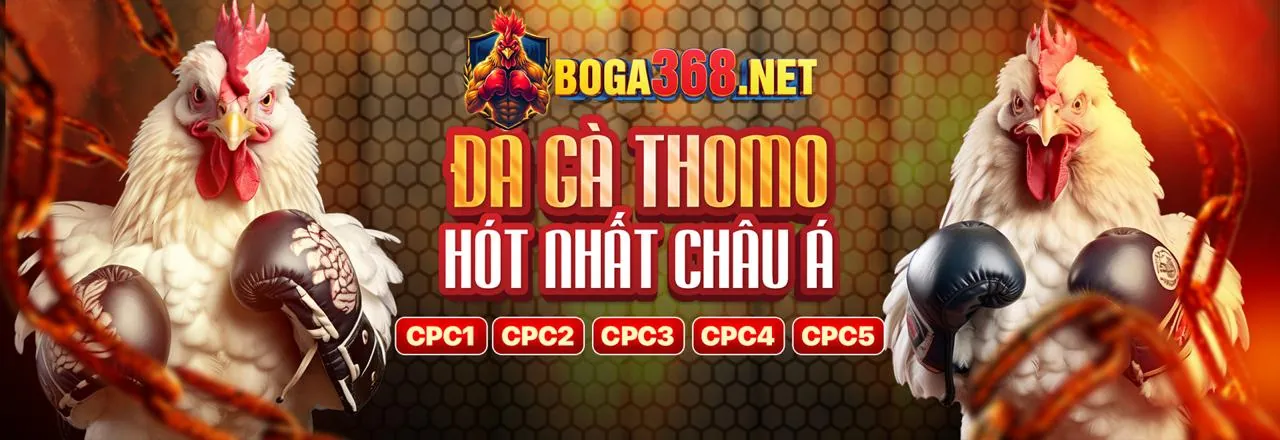Đá gà 55vin kịch tính trên nền tảng trực tuyến