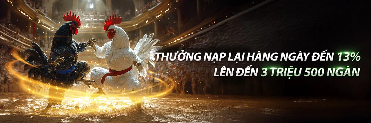 Đa dạng các môn thể thao cá cược tại 55vin