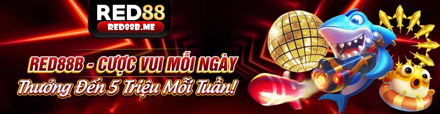 Sân đấu gà trực tuyến 55vin đá gà