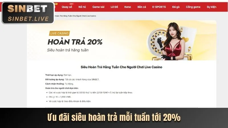 Cá cược thể thao 55vin